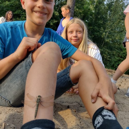 wilde_youngstars kindererlebniscamp