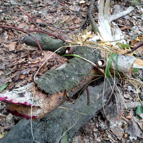 Landart wilder faunus