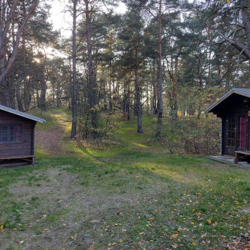 Naturcamp Tanztheater im Wald Kinder