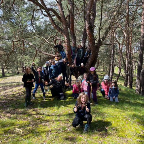 wildniscamp wildeYoungStars-Hirschluch