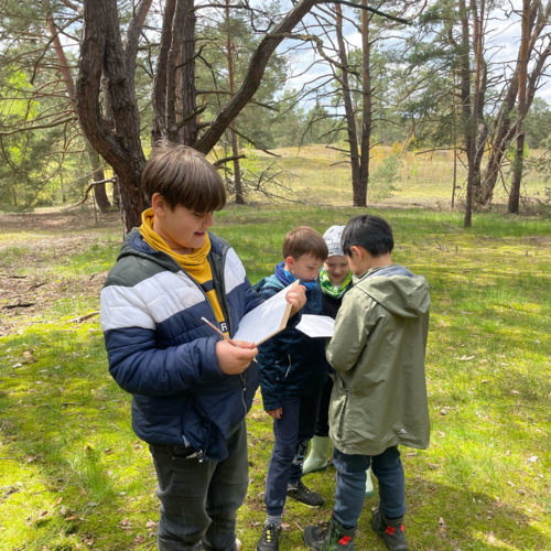 wildniscamp wildeYoungStars-Hirschluch