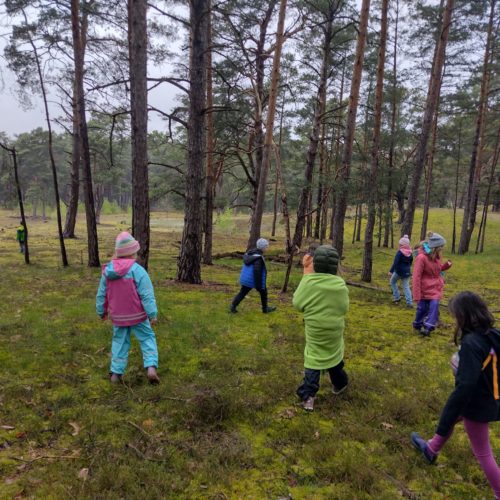 wildniscamp wildeYoungStars-Hirschluch