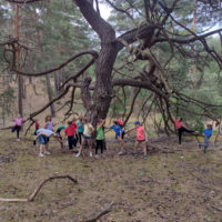 forestjump-kindernaturcamp2026