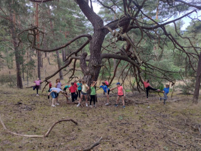 forestjump-kindernaturcamp2026